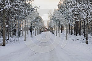 Countryside road in Ohs, VÃ¤rnamo, Sweden