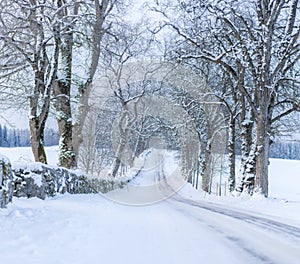 Countryside road in Ohs, VÃ¤rnamo, Sweden