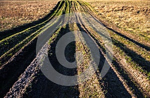 Countryside road overgrown with grass