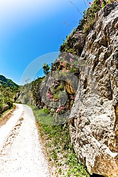 Countryside road in a park in Italy photo