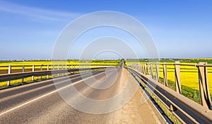 Countryside road in spring