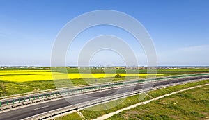 Countryside road in spring