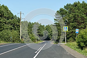 Countryside road surrounded by trees, road signs and powerline poles under a clear blue sky