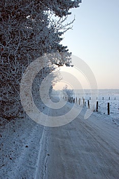 Countryside road in winter