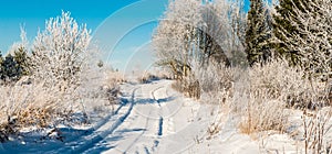 Landscape road in winter, frozen covered with snow birch trees