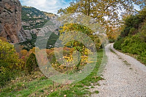 Countryside road at Zachlorou village near Kalavrita in Peloponnese, Greece