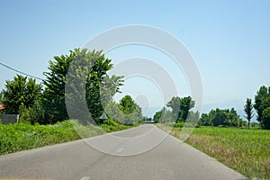 Countryside roads or asphalts with trees