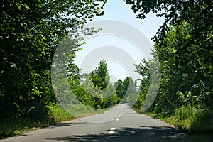 Countryside roads or asphalts with trees