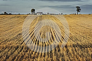 At countryside , rural atmosphere