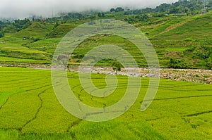 Countryside rural landscape with rice terraces