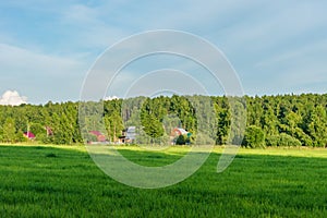 Countryside rural scenery