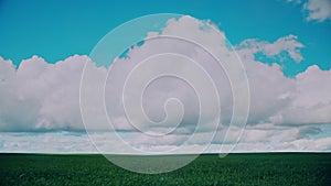 Countryside Rural Wheat Field Meadow Landscape In Summer Sunny Day. Scenic Sky With Clouds On Horizon. 4K, Time Lapse