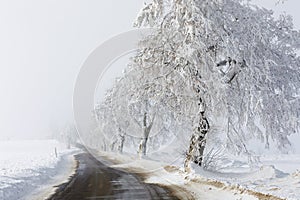 Countryside rural winter road going in to the fog