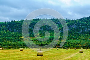 Countryside in Saint Andre, Quebec