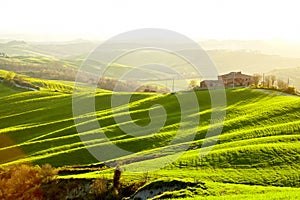 Countryside, San Quirico dÂ´Orcia, Tuscany,