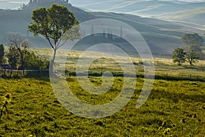 Countryside, San Quirico d`Orcia , Tuscany,