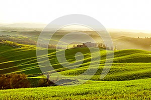 Countryside, San QuiricoÂ´Orcia , Tuscany,