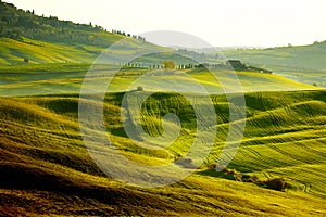 Countryside, San QuiricoÂ´Orcia , Tuscany,