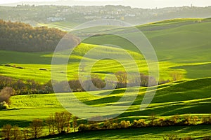 Countryside, San QuiricoÂ´Orcia , Tuscany,