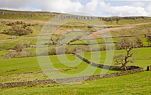 A Countryside Scene in the Yorkshire Dales