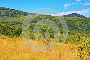 countryside scenery with forested mountains