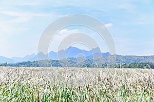 Countryside Scenery Near Khao Sam Roi Yot National Park