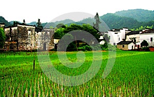 The Countryside scenery of Wuyuan ancient village