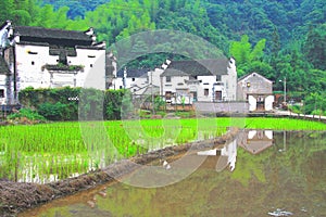 The Countryside scenery of Wuyuan ancient village