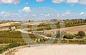 Countryside Sicilian landscape with the vineyards of the Campobello of Licata in province of Agrigento