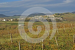 The countryside sicily