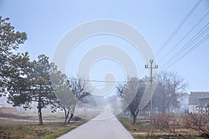 Selective blur on an empty road and street in the village of Vladimirovac in Vojvodina, Banat, Serbia, photo