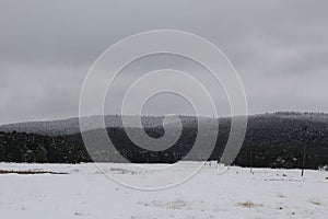 countryside after snowfall, Snow, Winter