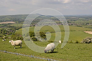 Countryside at Steyning. Sussex. England