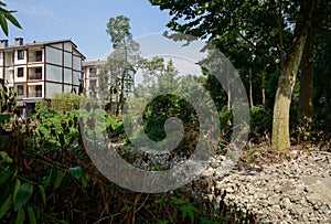 Countryside storied apartments in plants and trees on sunny summer