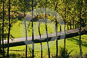 Countryside street at Rive D Arcano