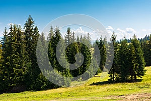 Countryside summer landscape in mountains