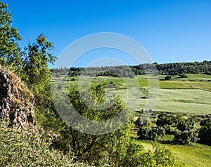 Countryside surrounding Ronda, Andalusia, Spain