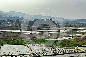 Countryside tarnish framing rice field with small resting huts and mountain background at morning