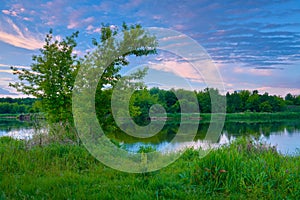 Countryside trees river blue sky dawn clouds