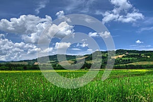 Countryside view of Tuscany, Volterra, Italy