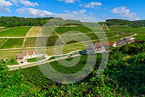 Countryside and vineyards in Chablis area