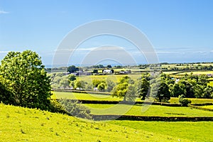 Countryside Wales. Fields and meadows