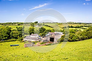 Countryside Wales. Fields and meadows