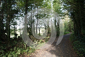 A countryside walkers path