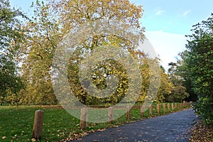 Countryside walking path in Autumn