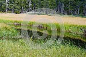 Countryside water channel