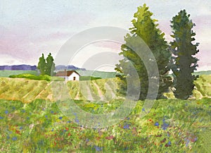 Countryside watercolor landscape green grass, wild flowers green field and farm house, hand drawn illustration