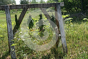 Countryside Wild Flowers Drying Strings, Herbalism. Holistic Healing Plants Herbs. Rural Wooden . Herbal. Agriculture, Harvest.