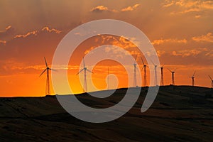 countryside with wind turbines and the setting sun