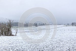 Winter snow meadows landscape, Vielsalm, Ardens, Belgium photo